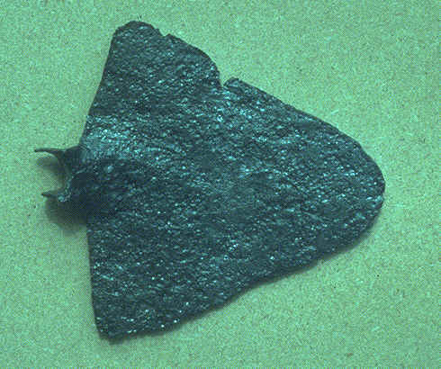 Haue aus der Römerzeit